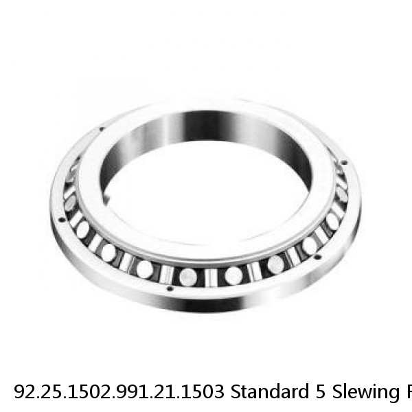 92.25.1502.991.21.1503 Standard 5 Slewing Ring Bearings