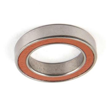 NSK 6204 Zz 6027 Zz 6203-2RS 6309 6204-Rz 6022 6901 3810 2RS Hf Price List Bearing