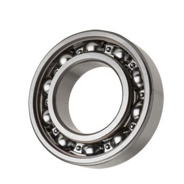 SKF Timken NSK NTN NACHI Koyo IKO Taper Roller Bearing 02872/02830 02875/02820 02876/02820 02877/02820 02877/02831 02878/02820 02878/02830 03062/03162