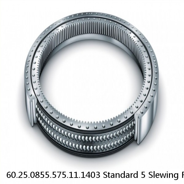 60.25.0855.575.11.1403 Standard 5 Slewing Ring Bearings