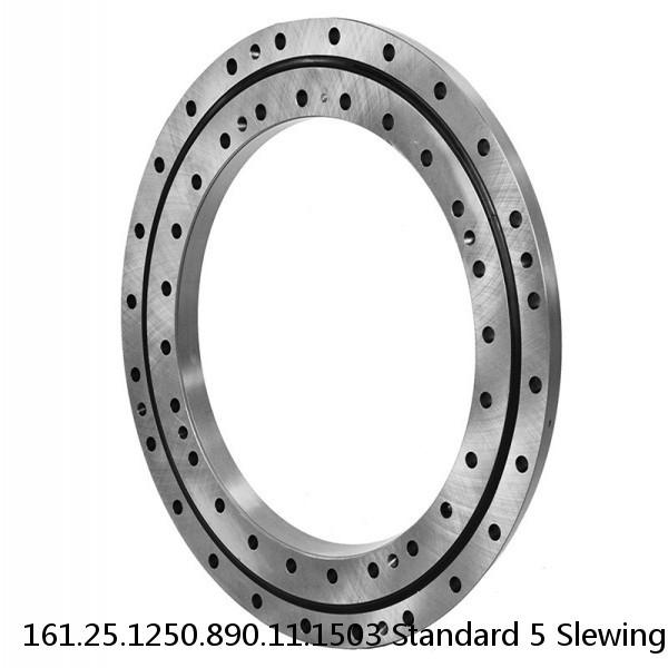 161.25.1250.890.11.1503 Standard 5 Slewing Ring Bearings