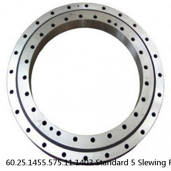 60.25.1455.575.11.1403 Standard 5 Slewing Ring Bearings