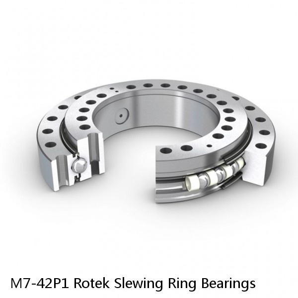 M7-42P1 Rotek Slewing Ring Bearings