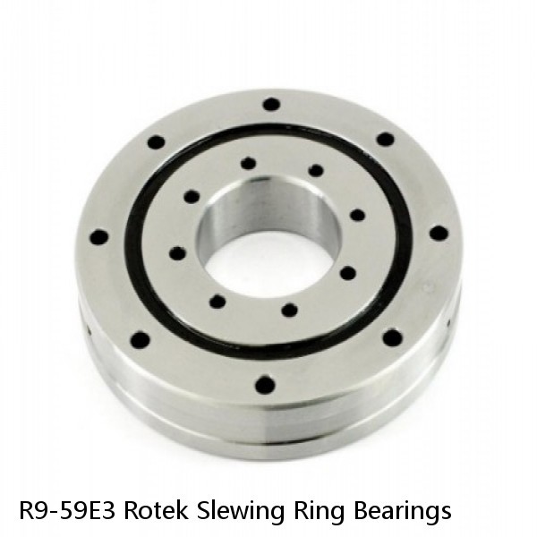 R9-59E3 Rotek Slewing Ring Bearings