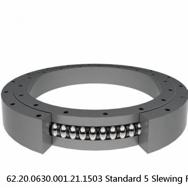 62.20.0630.001.21.1503 Standard 5 Slewing Ring Bearings