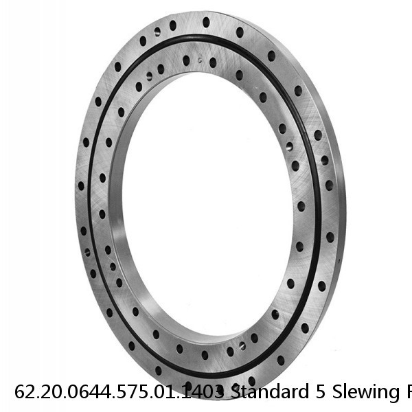 62.20.0644.575.01.1403 Standard 5 Slewing Ring Bearings