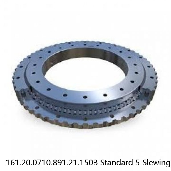 161.20.0710.891.21.1503 Standard 5 Slewing Ring Bearings