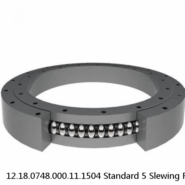 12.18.0748.000.11.1504 Standard 5 Slewing Ring Bearings