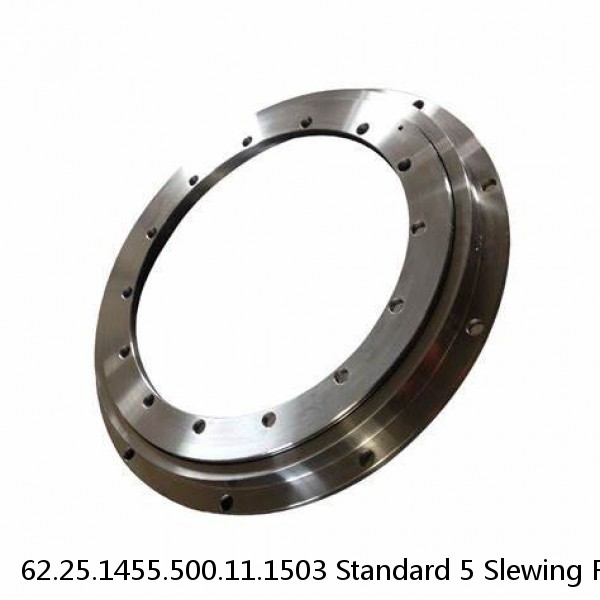 62.25.1455.500.11.1503 Standard 5 Slewing Ring Bearings