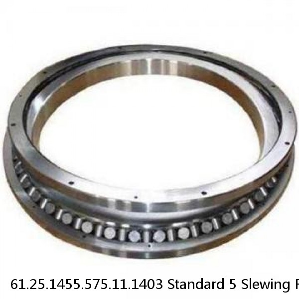 61.25.1455.575.11.1403 Standard 5 Slewing Ring Bearings