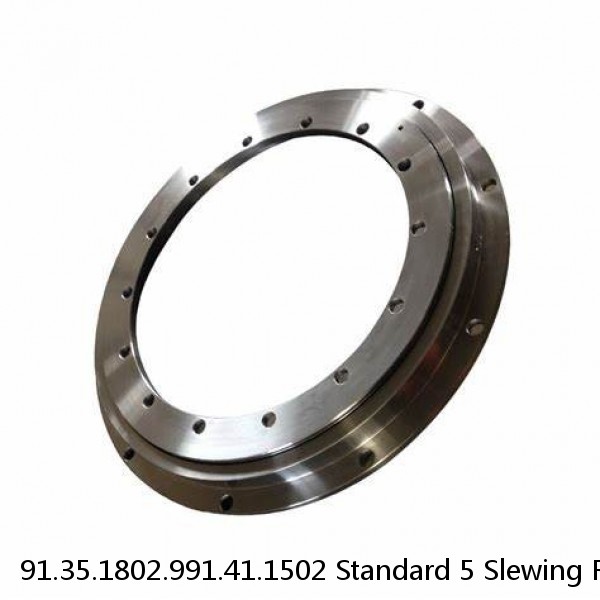 91.35.1802.991.41.1502 Standard 5 Slewing Ring Bearings