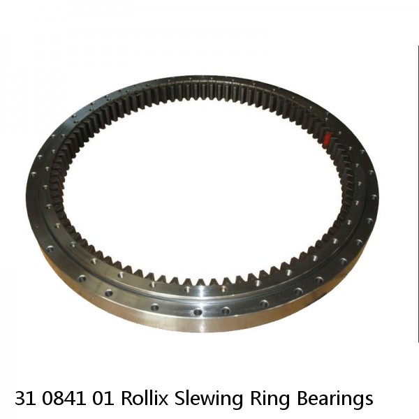 31 0841 01 Rollix Slewing Ring Bearings