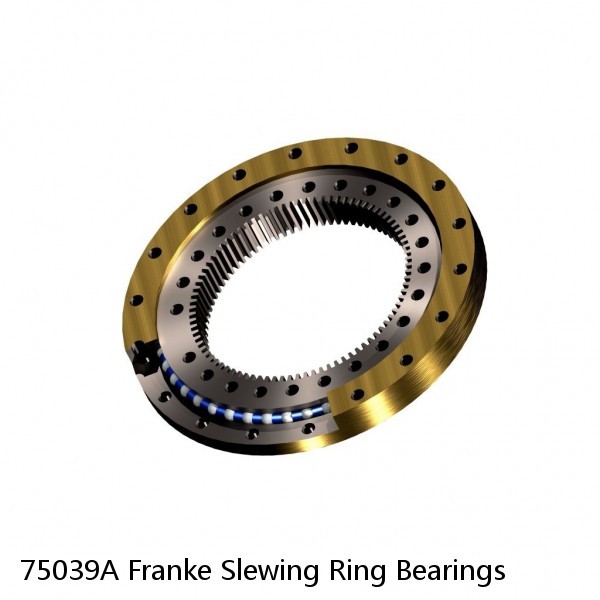 75039A Franke Slewing Ring Bearings