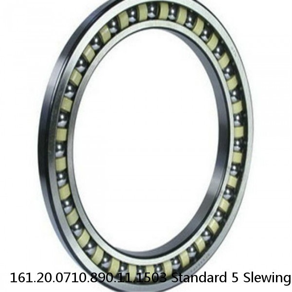 161.20.0710.890.11.1503 Standard 5 Slewing Ring Bearings