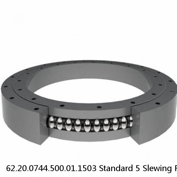 62.20.0744.500.01.1503 Standard 5 Slewing Ring Bearings