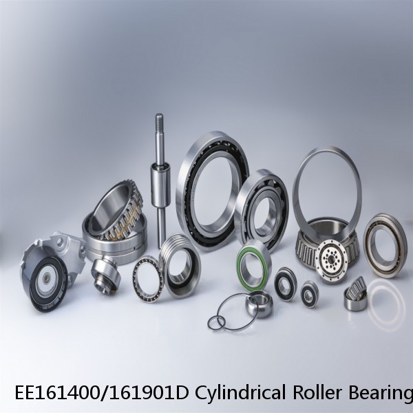 EE161400/161901D Cylindrical Roller Bearings