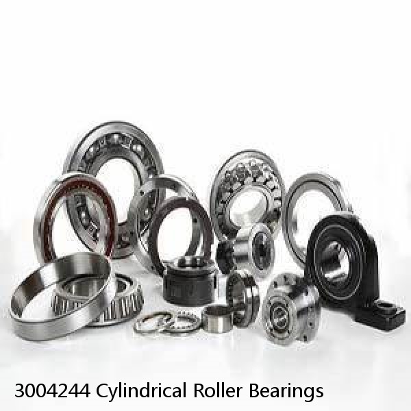 3004244 Cylindrical Roller Bearings