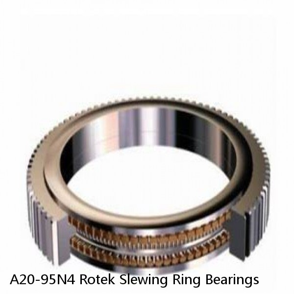 A20-95N4 Rotek Slewing Ring Bearings