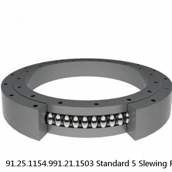 91.25.1154.991.21.1503 Standard 5 Slewing Ring Bearings