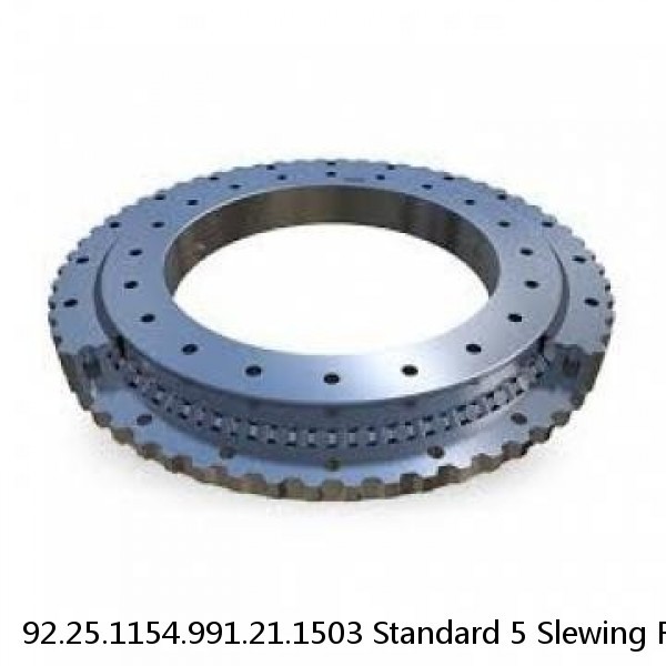 92.25.1154.991.21.1503 Standard 5 Slewing Ring Bearings