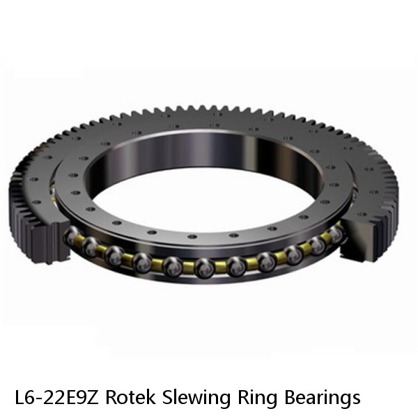 L6-22E9Z Rotek Slewing Ring Bearings