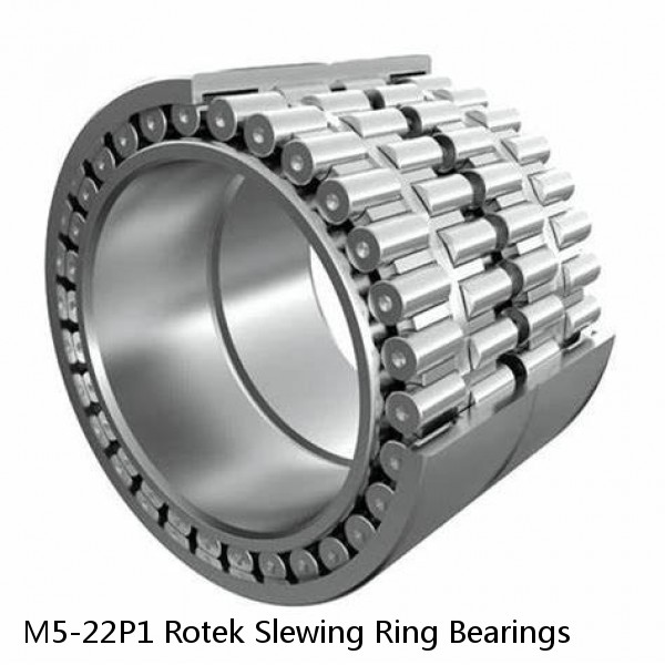 M5-22P1 Rotek Slewing Ring Bearings