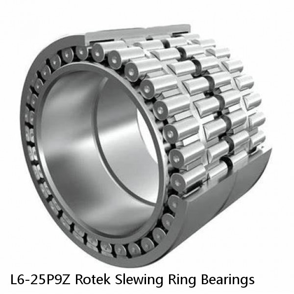 L6-25P9Z Rotek Slewing Ring Bearings