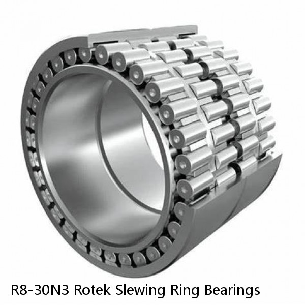 R8-30N3 Rotek Slewing Ring Bearings