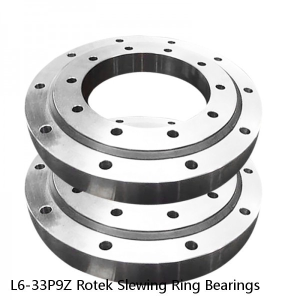 L6-33P9Z Rotek Slewing Ring Bearings