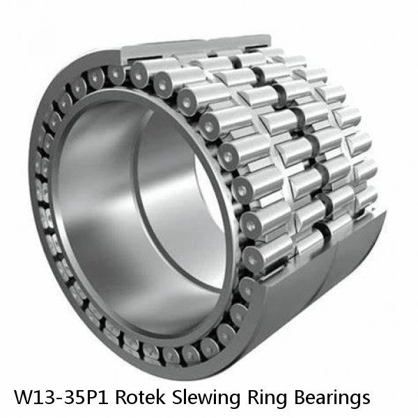 W13-35P1 Rotek Slewing Ring Bearings