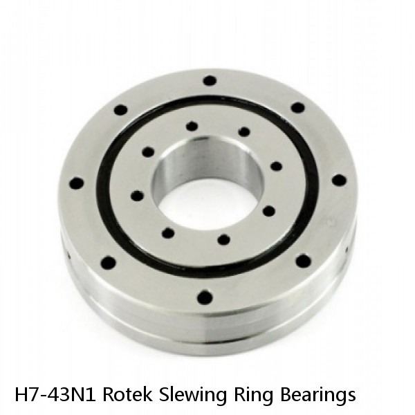 H7-43N1 Rotek Slewing Ring Bearings