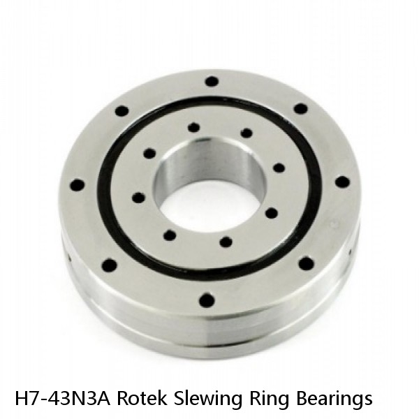 H7-43N3A Rotek Slewing Ring Bearings