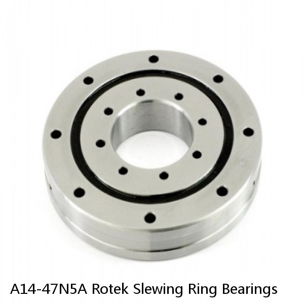 A14-47N5A Rotek Slewing Ring Bearings