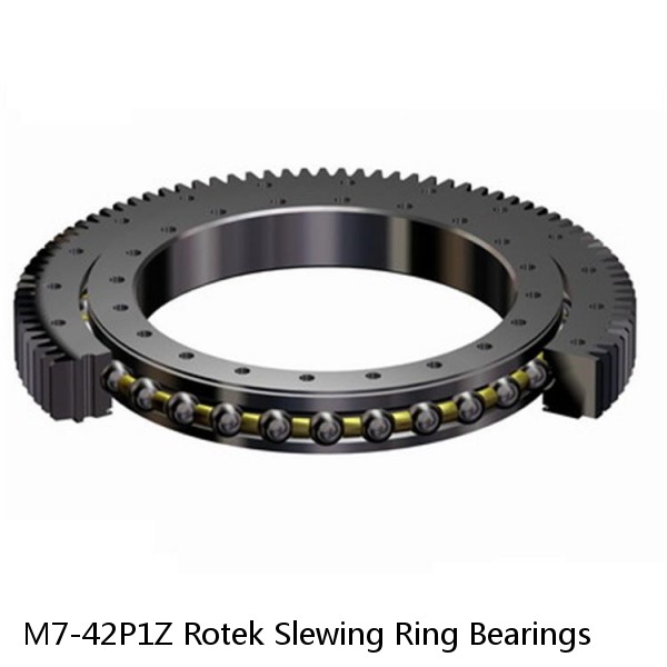 M7-42P1Z Rotek Slewing Ring Bearings