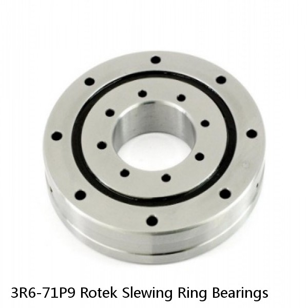 3R6-71P9 Rotek Slewing Ring Bearings