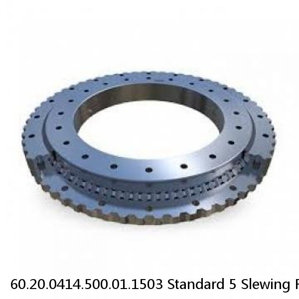 60.20.0414.500.01.1503 Standard 5 Slewing Ring Bearings