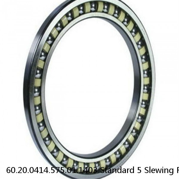 60.20.0414.575.01.1403 Standard 5 Slewing Ring Bearings