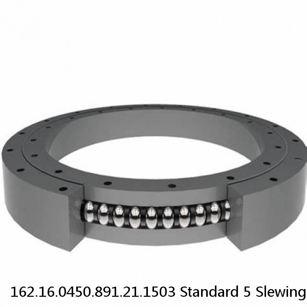 162.16.0450.891.21.1503 Standard 5 Slewing Ring Bearings