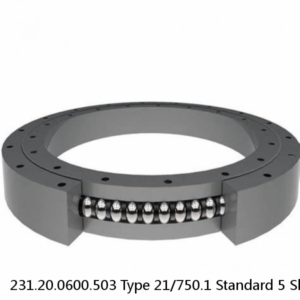 231.20.0600.503 Type 21/750.1 Standard 5 Slewing Ring Bearings