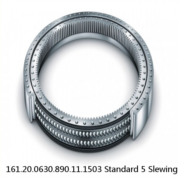 161.20.0630.890.11.1503 Standard 5 Slewing Ring Bearings