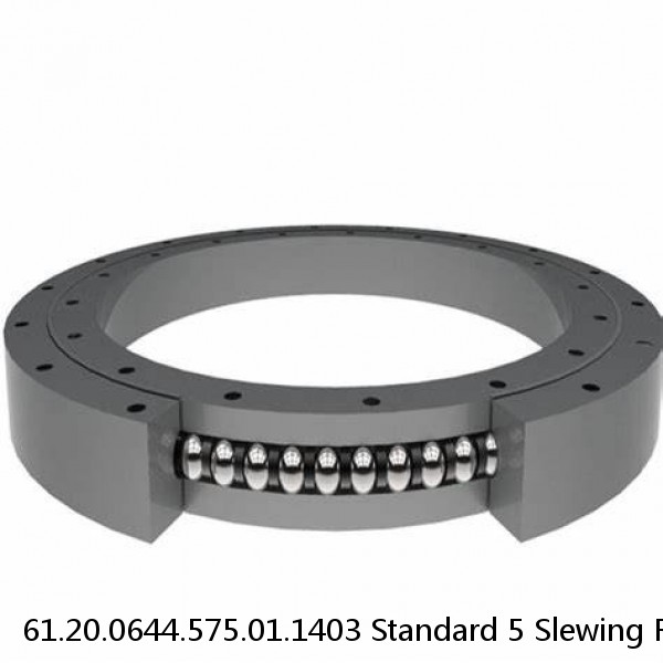 61.20.0644.575.01.1403 Standard 5 Slewing Ring Bearings