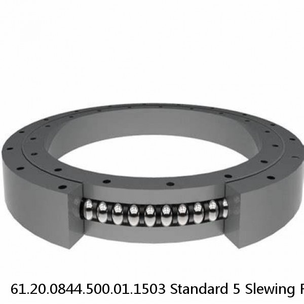 61.20.0844.500.01.1503 Standard 5 Slewing Ring Bearings