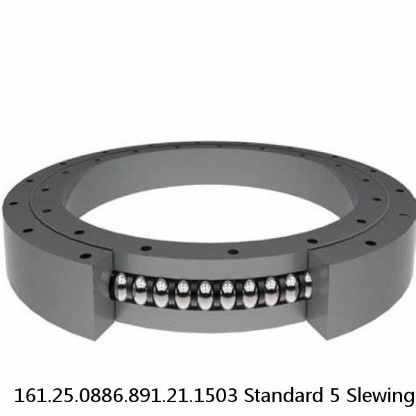 161.25.0886.891.21.1503 Standard 5 Slewing Ring Bearings