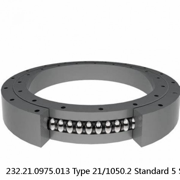 232.21.0975.013 Type 21/1050.2 Standard 5 Slewing Ring Bearings