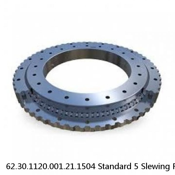 62.30.1120.001.21.1504 Standard 5 Slewing Ring Bearings