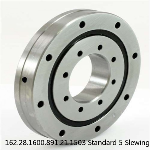 162.28.1600.891.21.1503 Standard 5 Slewing Ring Bearings