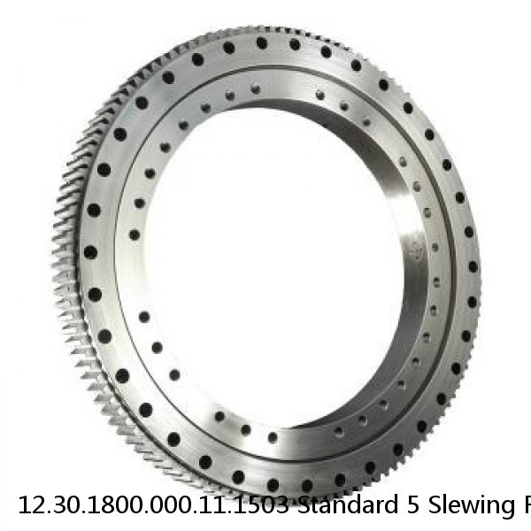 12.30.1800.000.11.1503 Standard 5 Slewing Ring Bearings