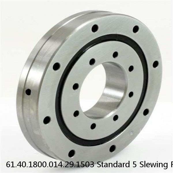 61.40.1800.014.29.1503 Standard 5 Slewing Ring Bearings