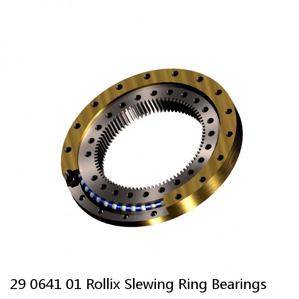 29 0641 01 Rollix Slewing Ring Bearings