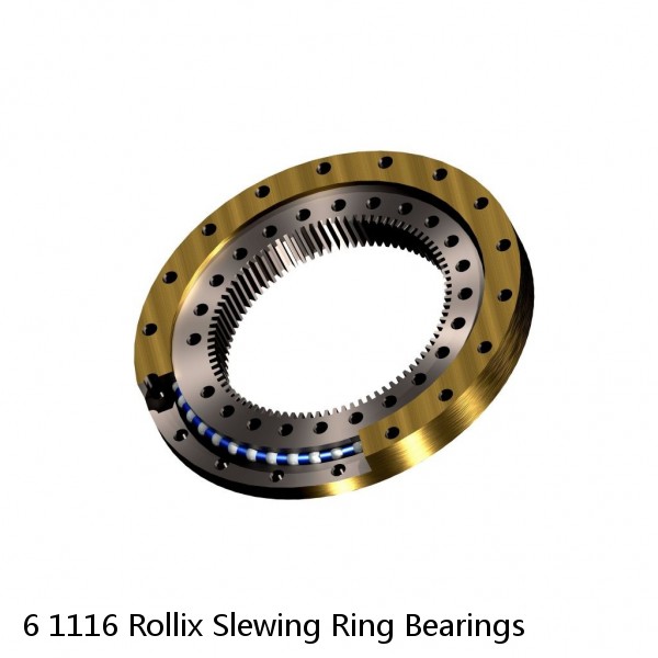 6 1116 Rollix Slewing Ring Bearings